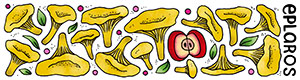Bläckpenna - Kantarell - 2
