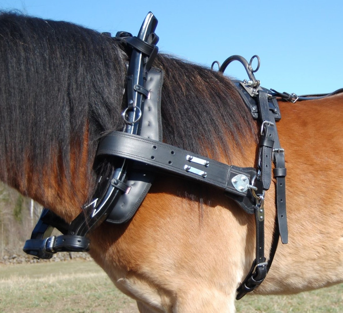 Loksele ponny med bågdäckel - 2