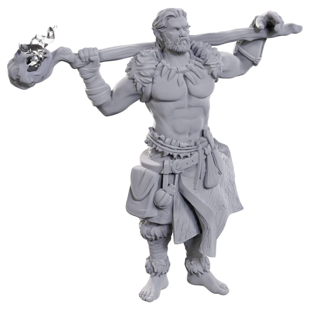 D&D Nolzurs Marvelous Minis: Archdruid & Martial Art Adept - 4