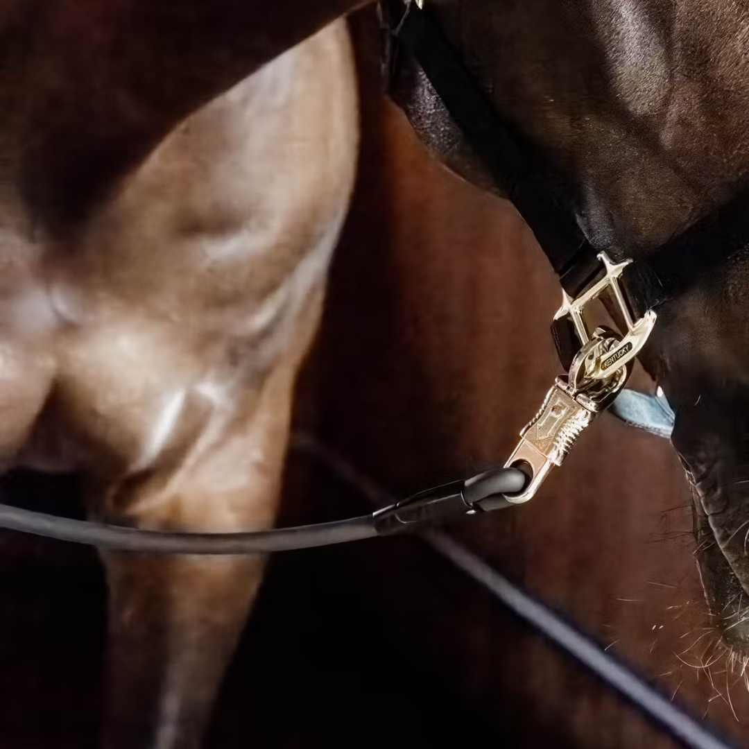 KENTUCKY HORSE BOX LEAD & CROSS TIES SILICONE  - 4