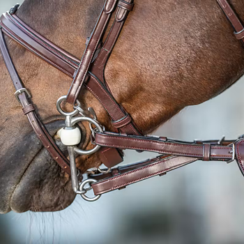 DYON 1/2" CONVERTER RUBBER REINS WITH 7 LEATHER LOOPS 
