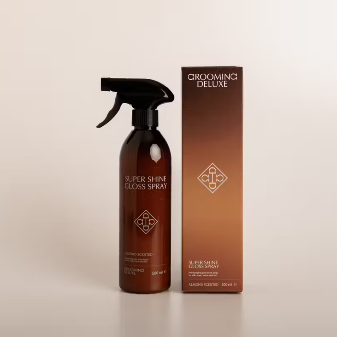 KENTUCKY GD SUPER SHINE GLOSS SPRAY  - 2