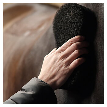 LAMICELL SHINE SCRUBBER SPONGE