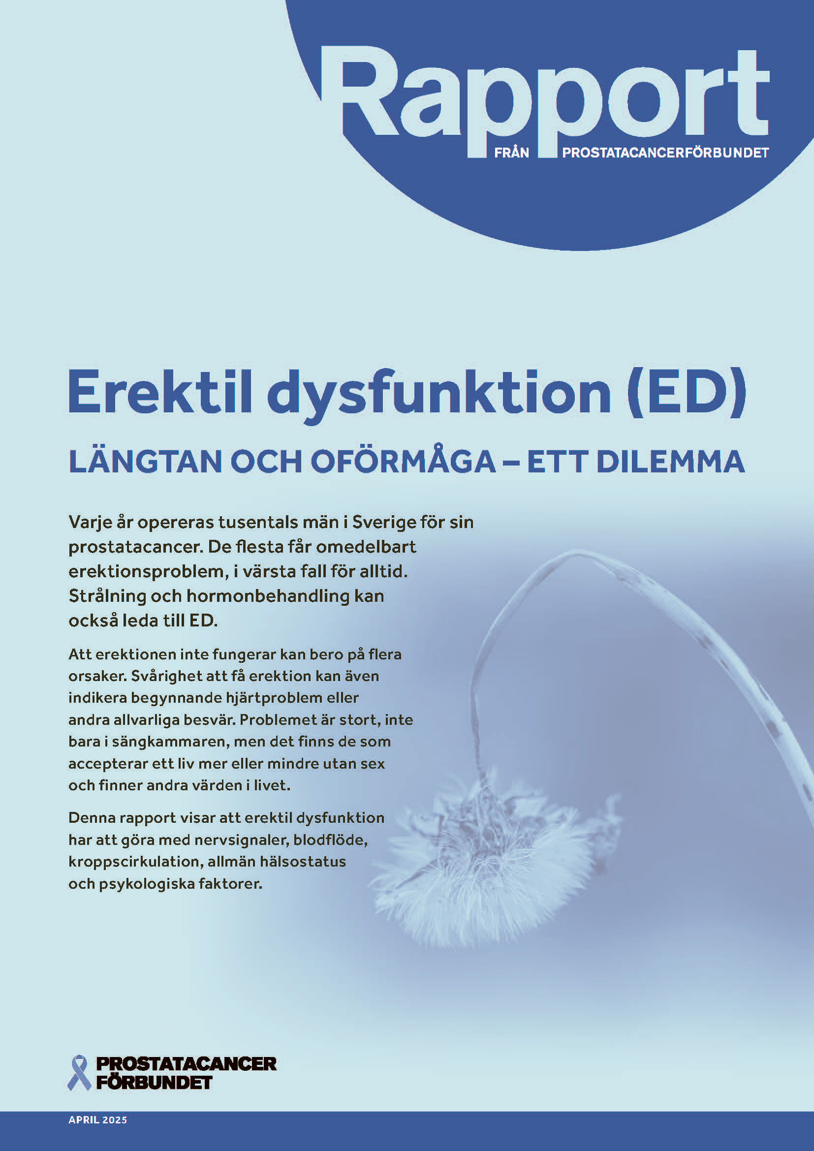Omslagsbild på Prostatacancerförbundets rapport från 2025 om erektil dysfunktion
