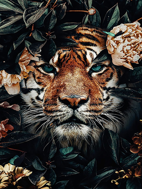 Tiger in Flowers, Noessa Diamond Painting