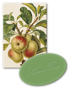 Gästtvål-Äpple