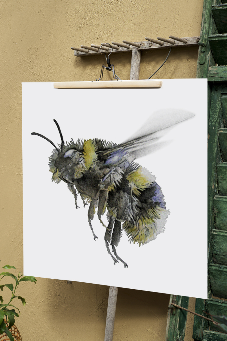 ART PRINT BUMBLEBEE 50x50 - 2