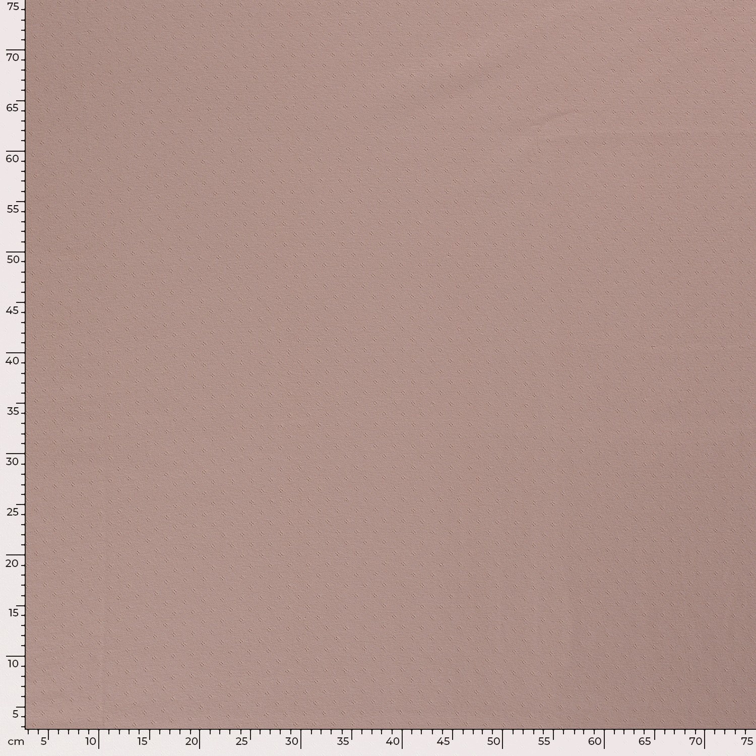 POINTELLE JERSEY - DUSTY ROSE - 5