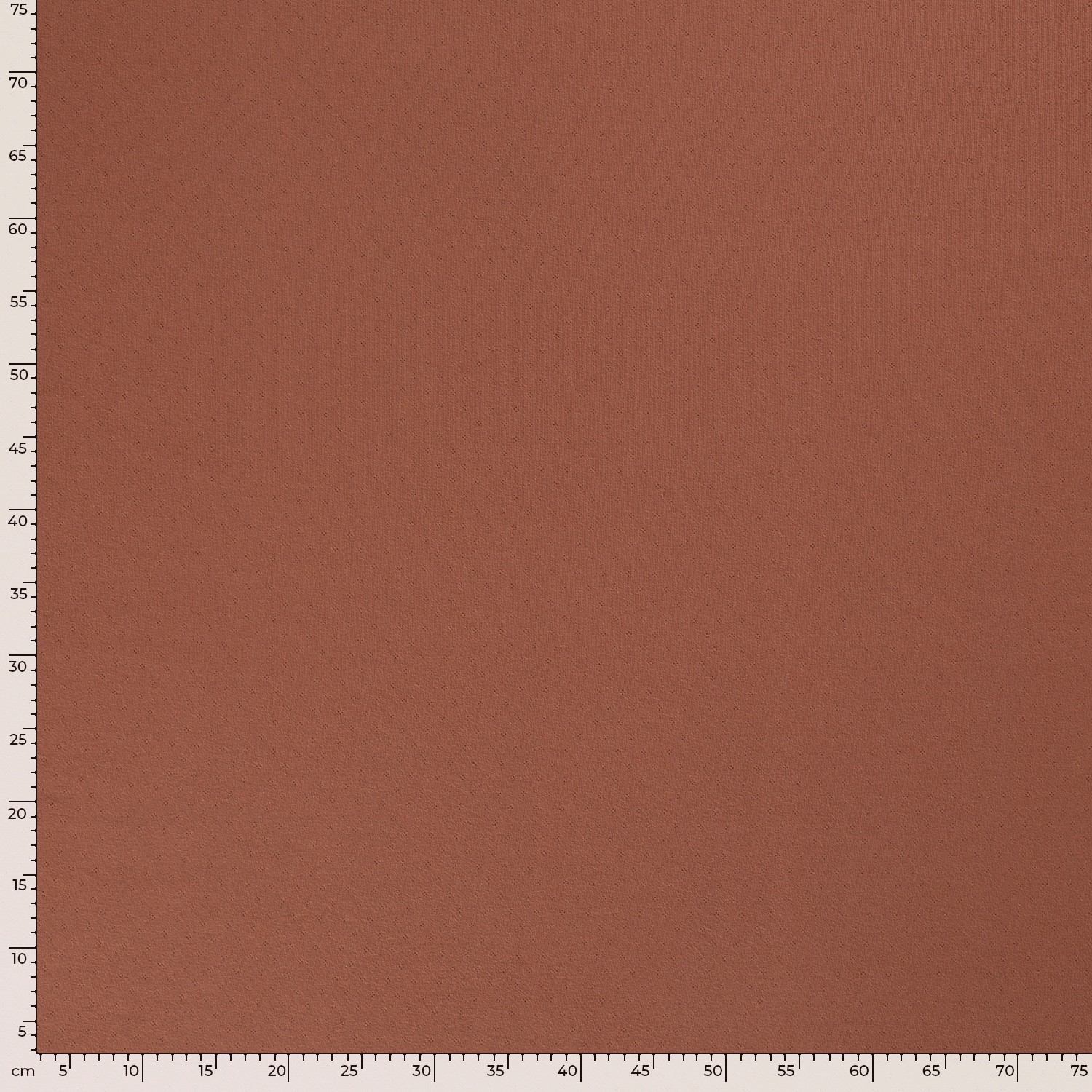 POINTELLE JERSEY - REDWOOD - 5
