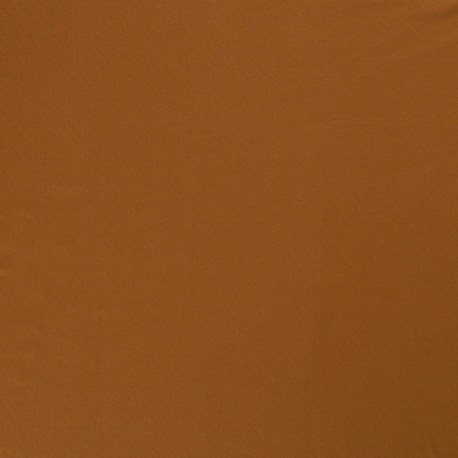 POINTELLE JERSEY - WARM COGNAC - 2