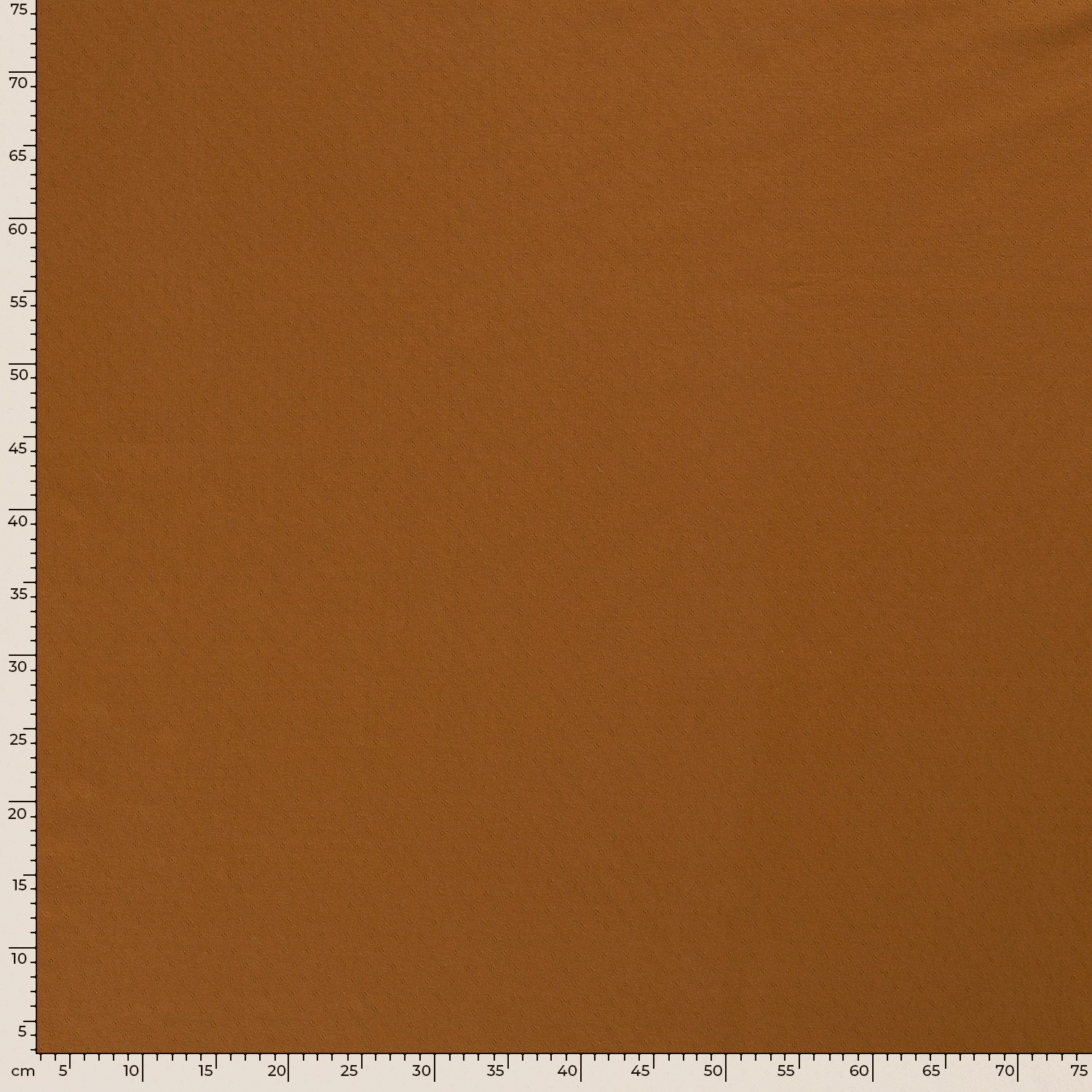 POINTELLE JERSEY - WARM COGNAC - 5