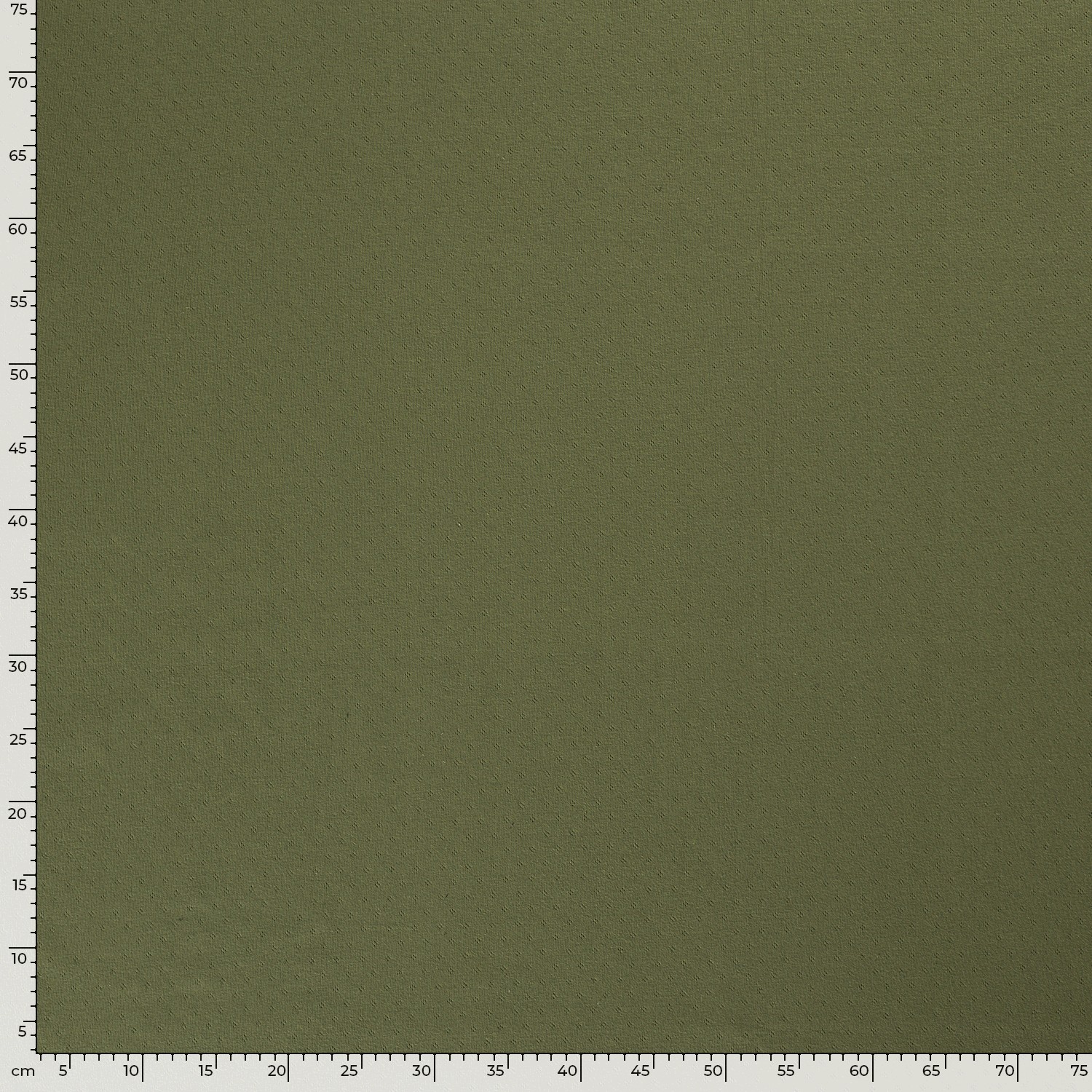 POINTELLE JERSEY - GREEN - 5