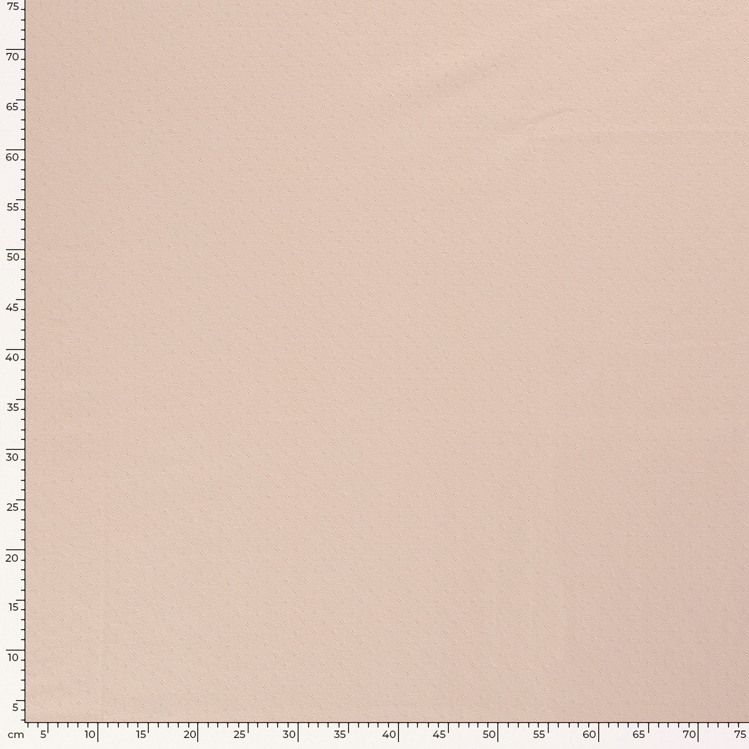 POINTELLE JERSEY - PALE OLD PINK - 5