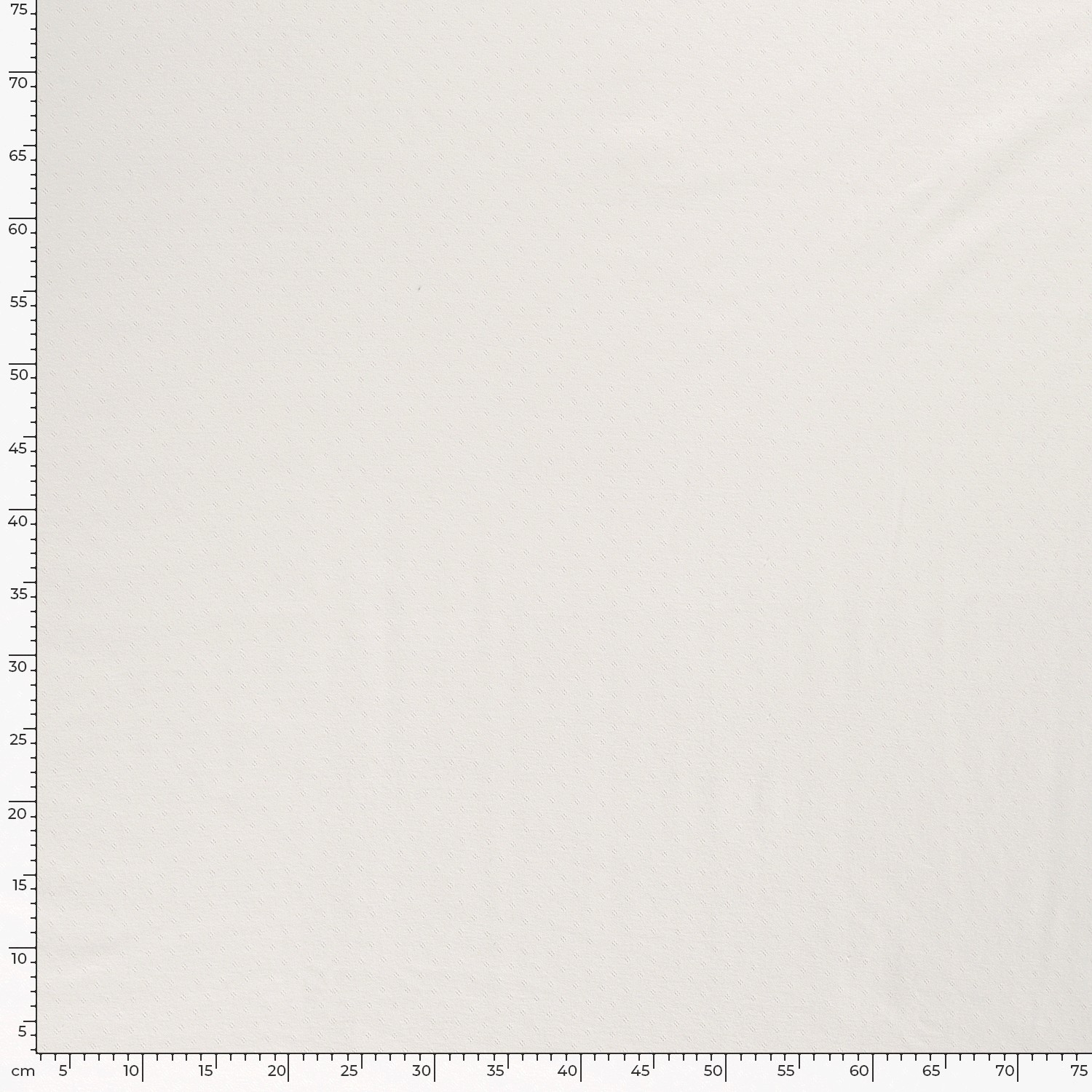 POINTELLE JERSEY - OFF WHITE - 5