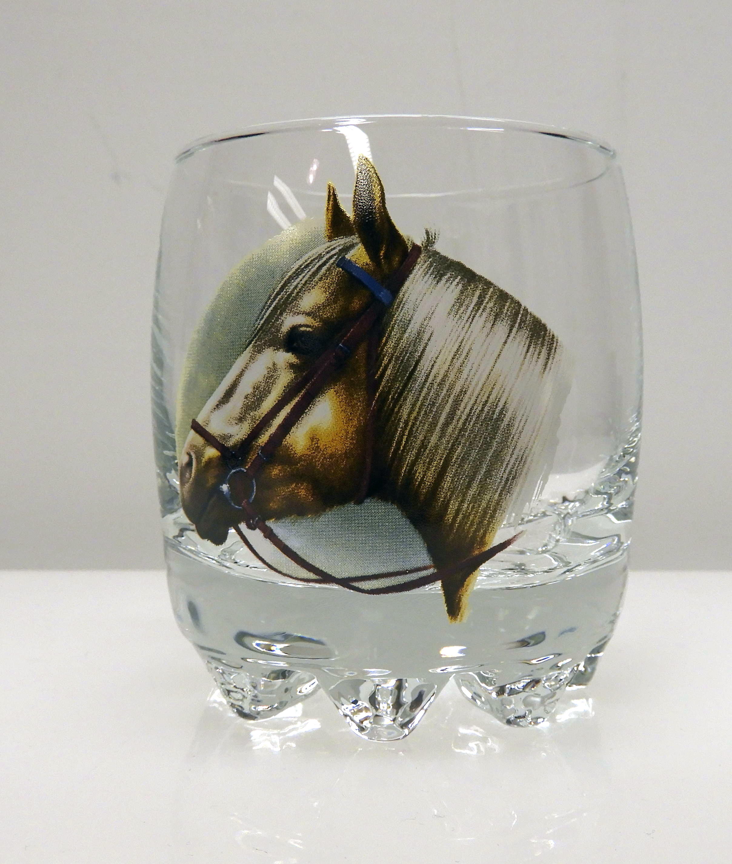 Galassia 30 cl Haflinger