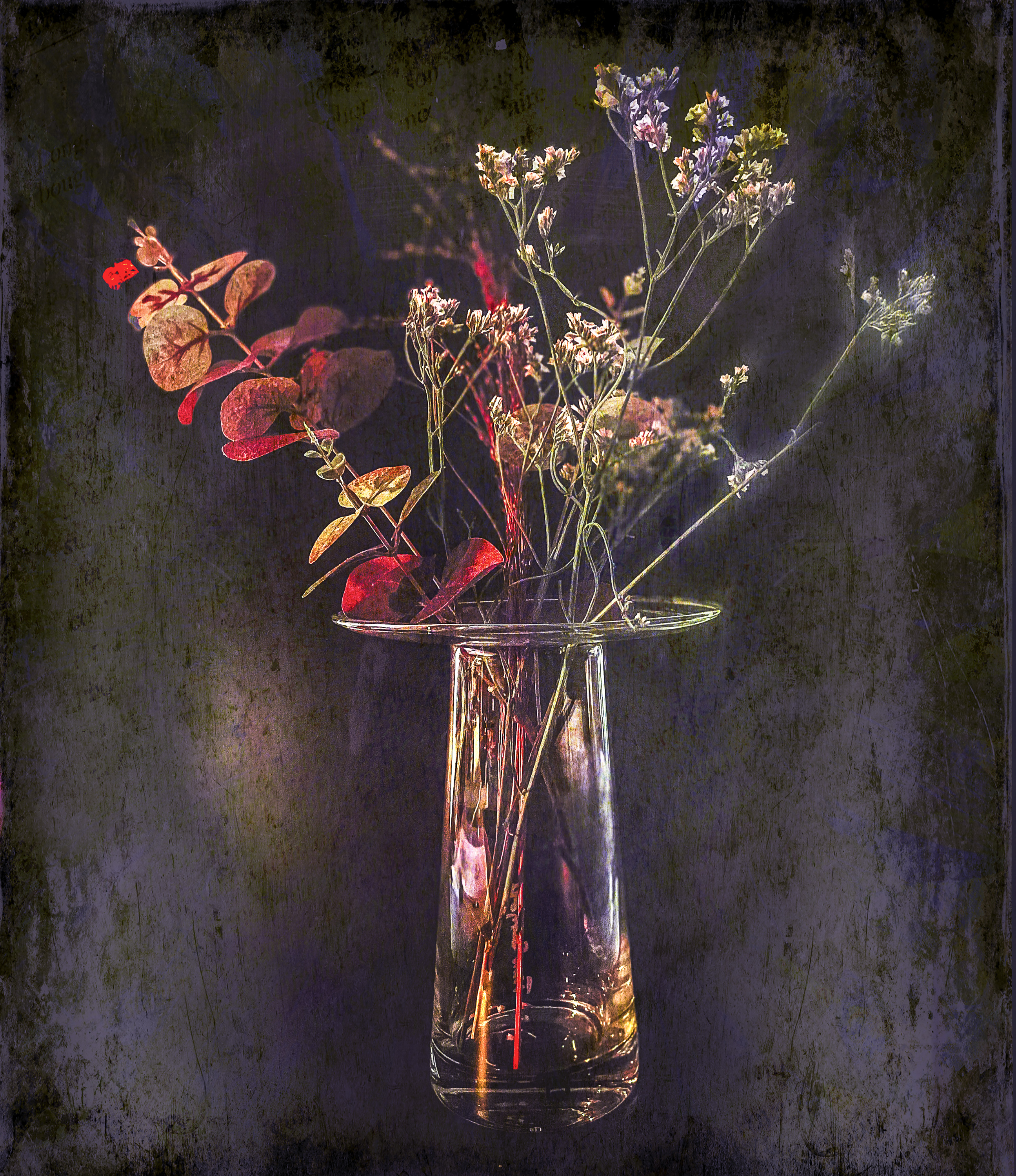 Stillife With Dry Flowers