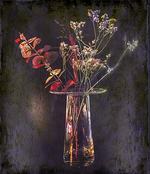 Stillife With Dry Flowers