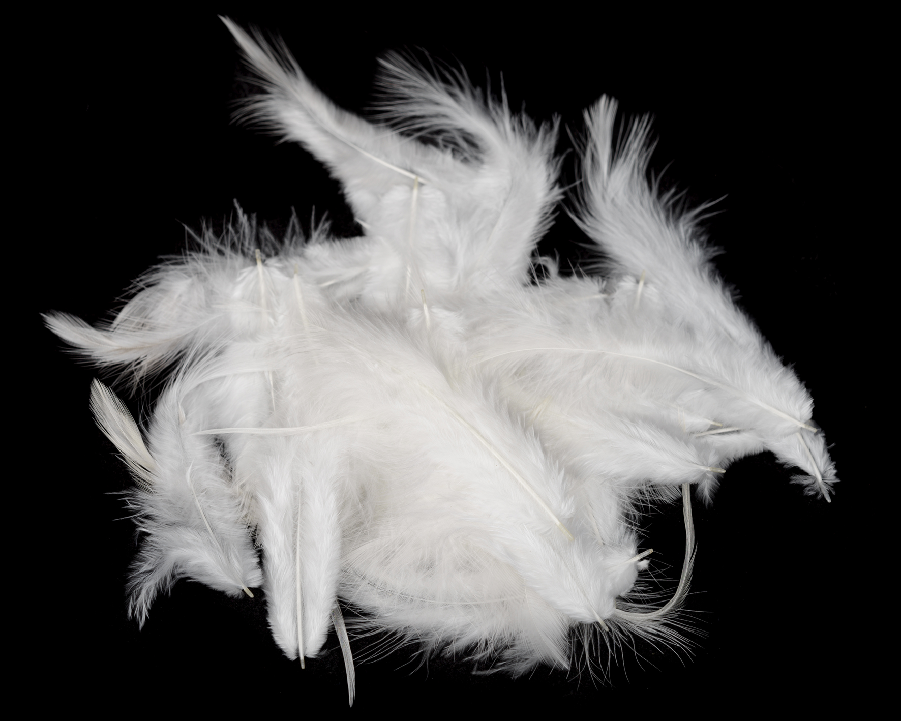 Hareline Metz Soft Hackle - 5