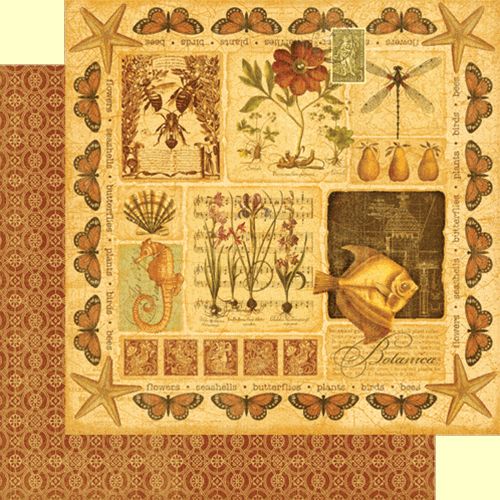 Graphic 45 Botanicabella Collection -Botanicabella