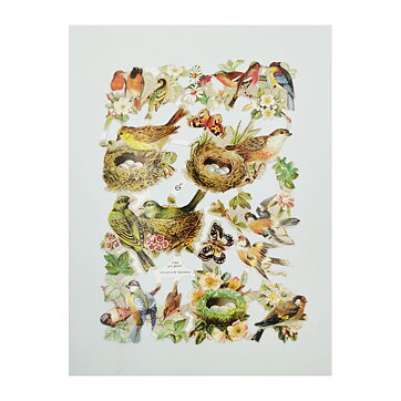 Bookmarks Second Hand - Birds Vintage EF7069
