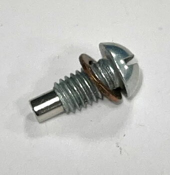 Magnetic oil level screw M6