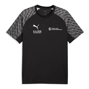 Puma Teamliga26 Jersey Jr (ÖLIF)