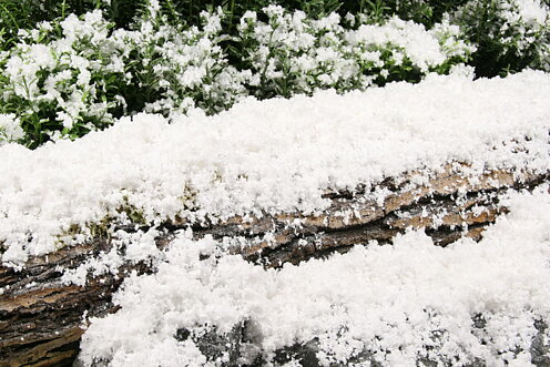 Full size Cellulosa snö - FS