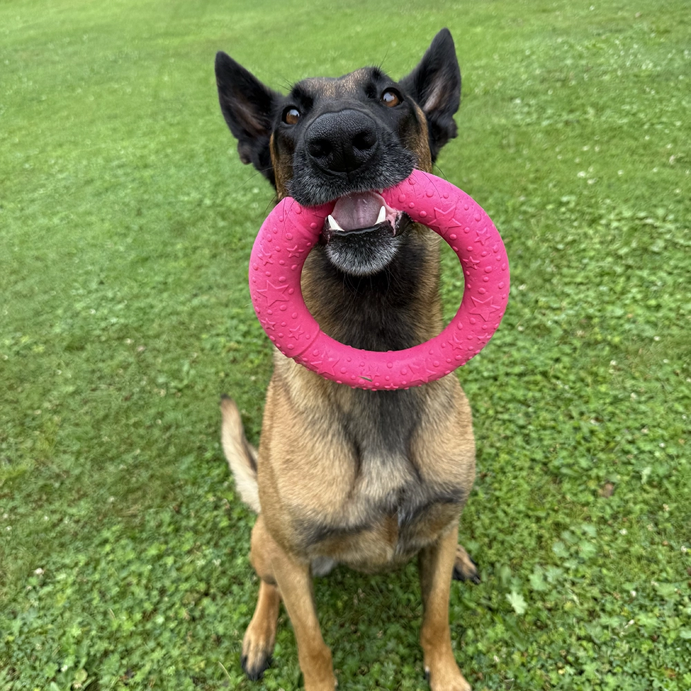 Dog Comets Ufo ring - 4
