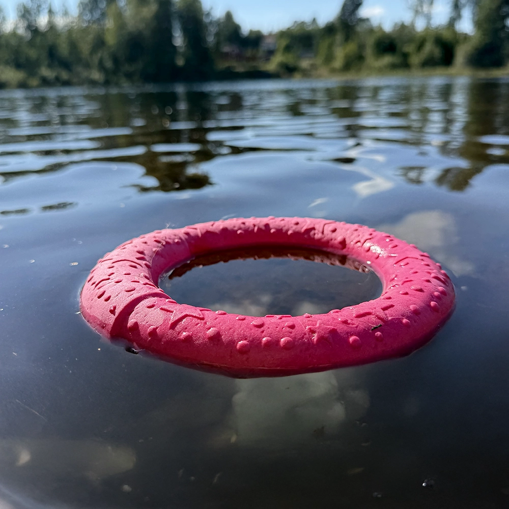 Vattenleksak till hunden Ufo ring flytleksak