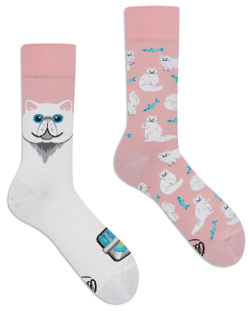 Many Mornings White Cat