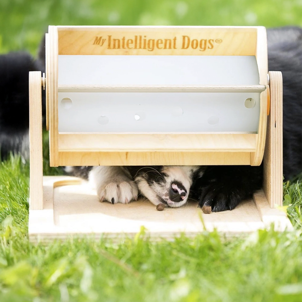 My Intelligent Pets Wheel of fortune lyckohjulet hundpussel