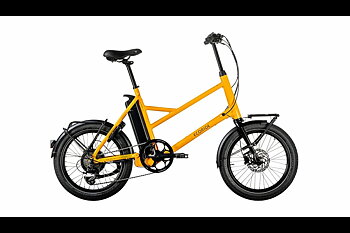 Ecoride Flexer H-9