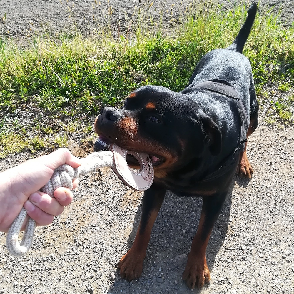 Kampleksak till hund av läder, jute och bomull