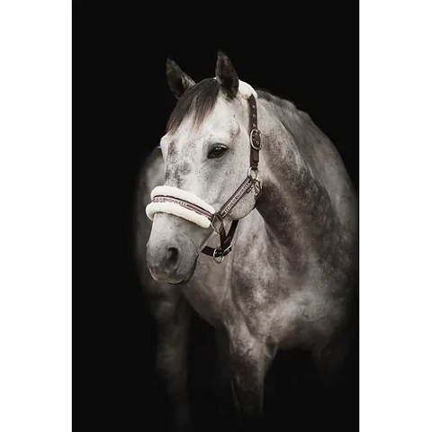 Grimma Horse Unique - SLUTSÅLD