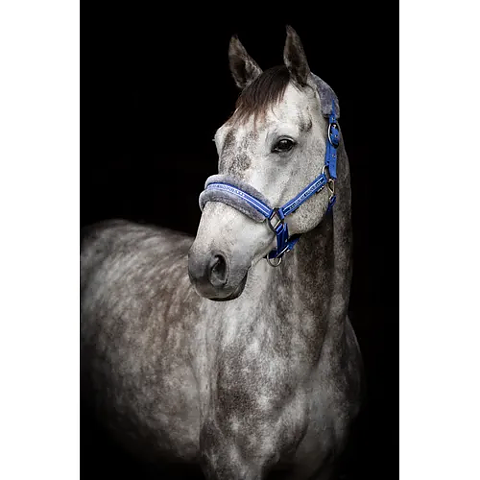 Grimma Horse Unique - SLUTSÅLD