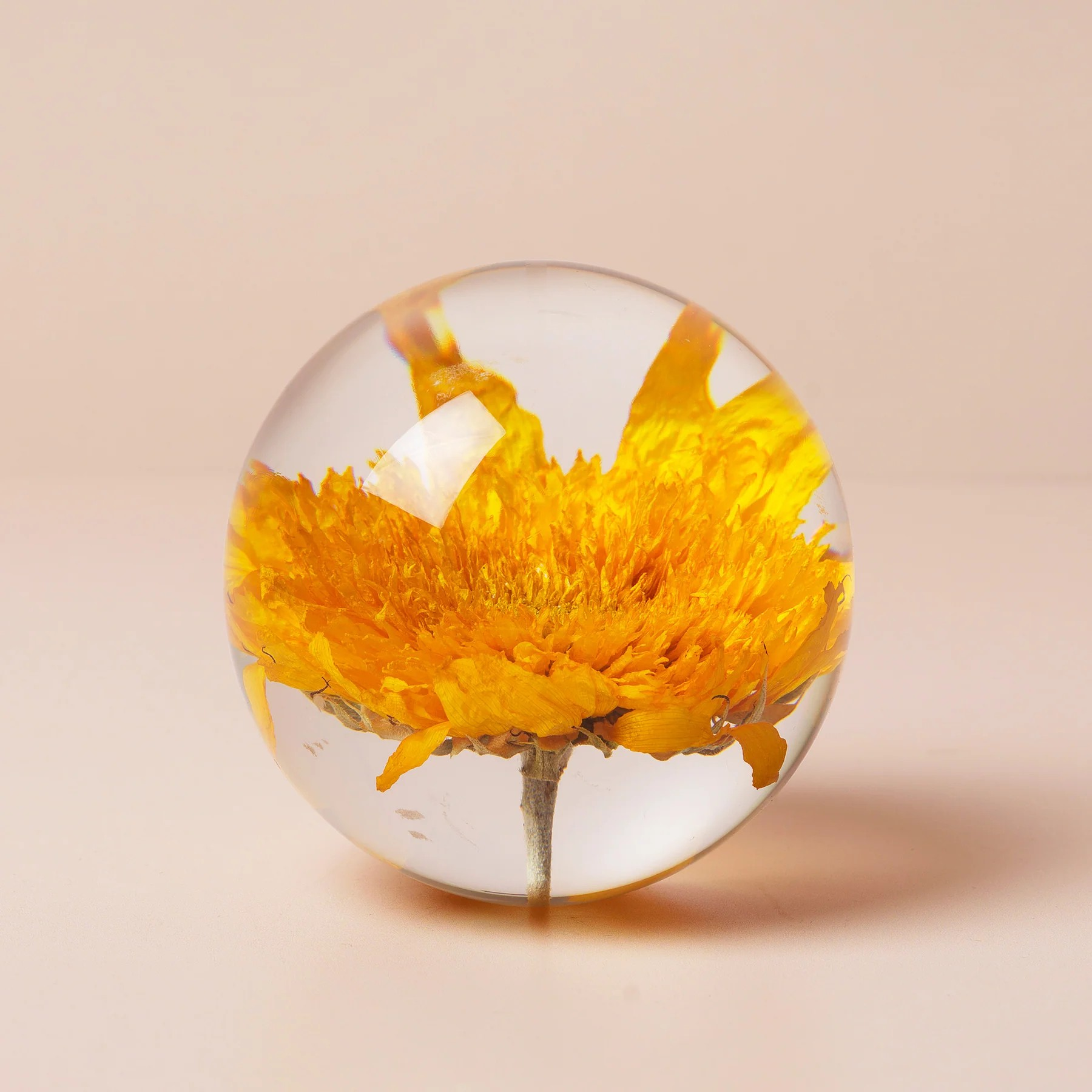 Pappersvikt Sunflower yellow