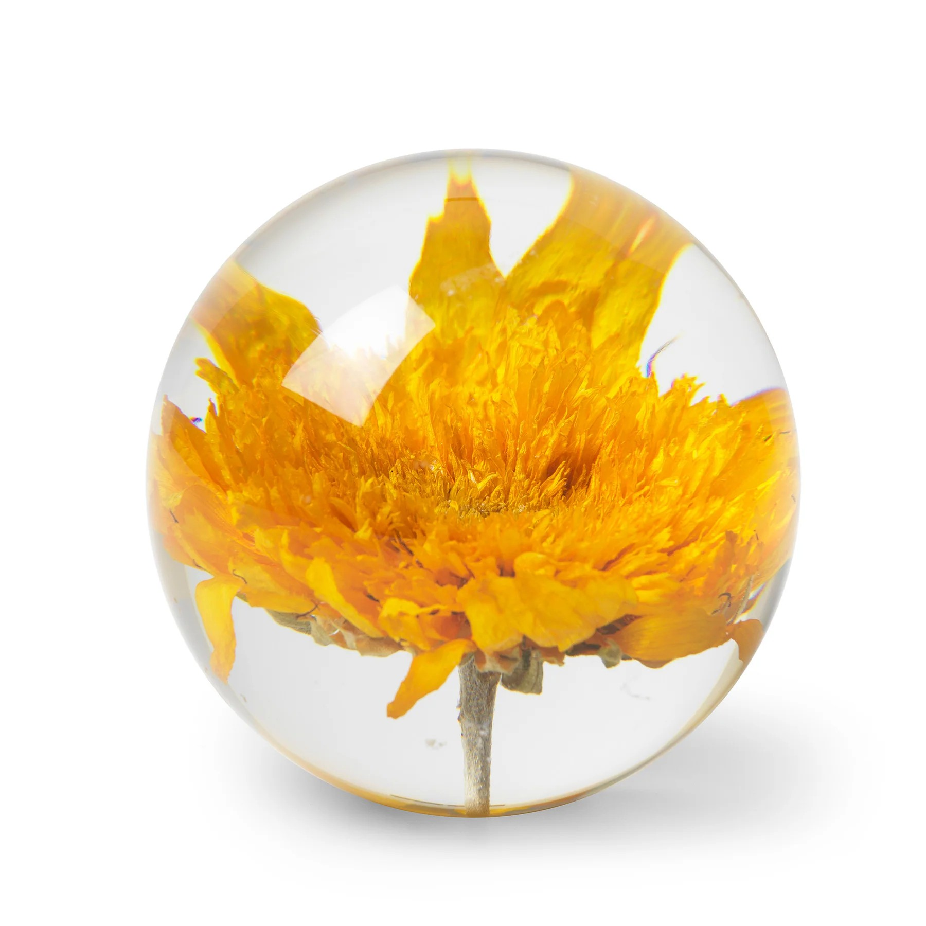 Pappersvikt Sunflower yellow - 2