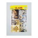 Bookmarks Second Hand - Famous Works of Art