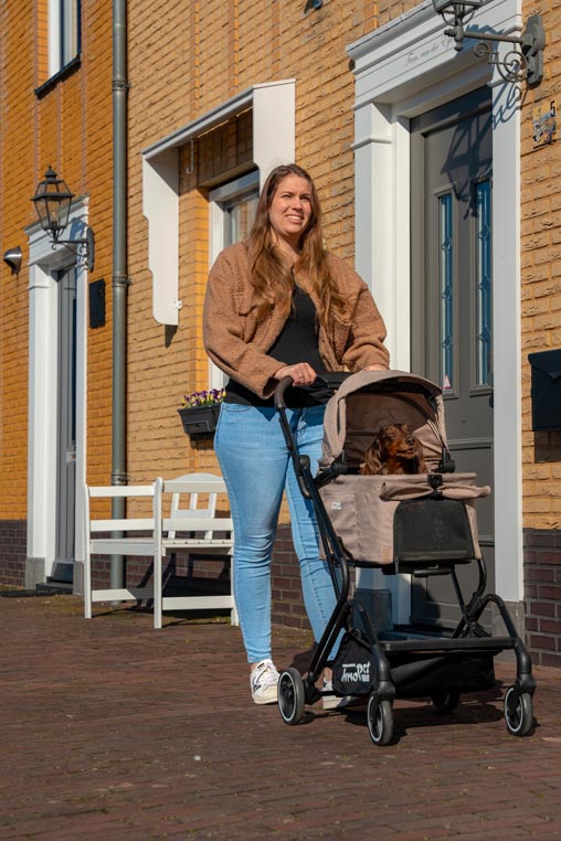 InnoPet Nomad Pet Stroller - 15