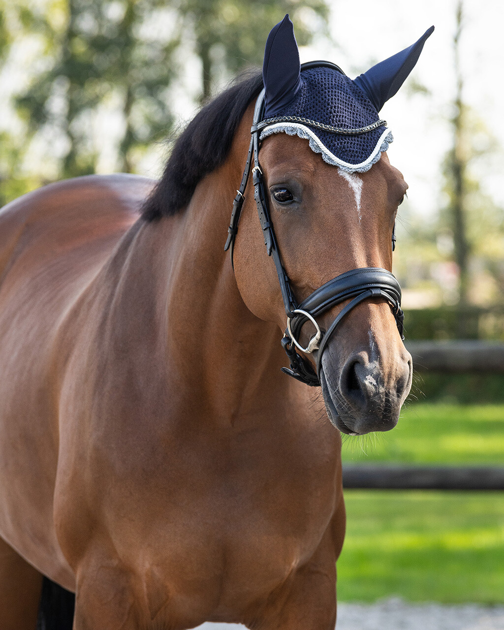 Huva - Navy