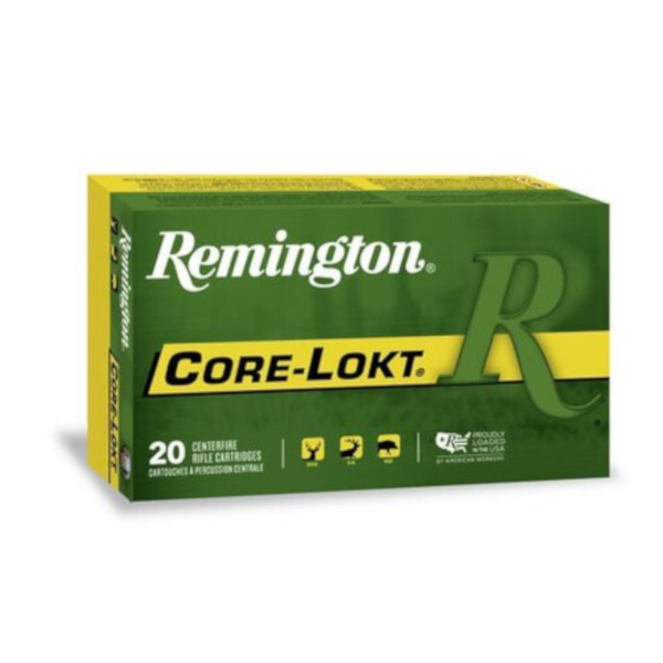 Remington Ammo 45-70 GOVT Core-Lokt 405gr
