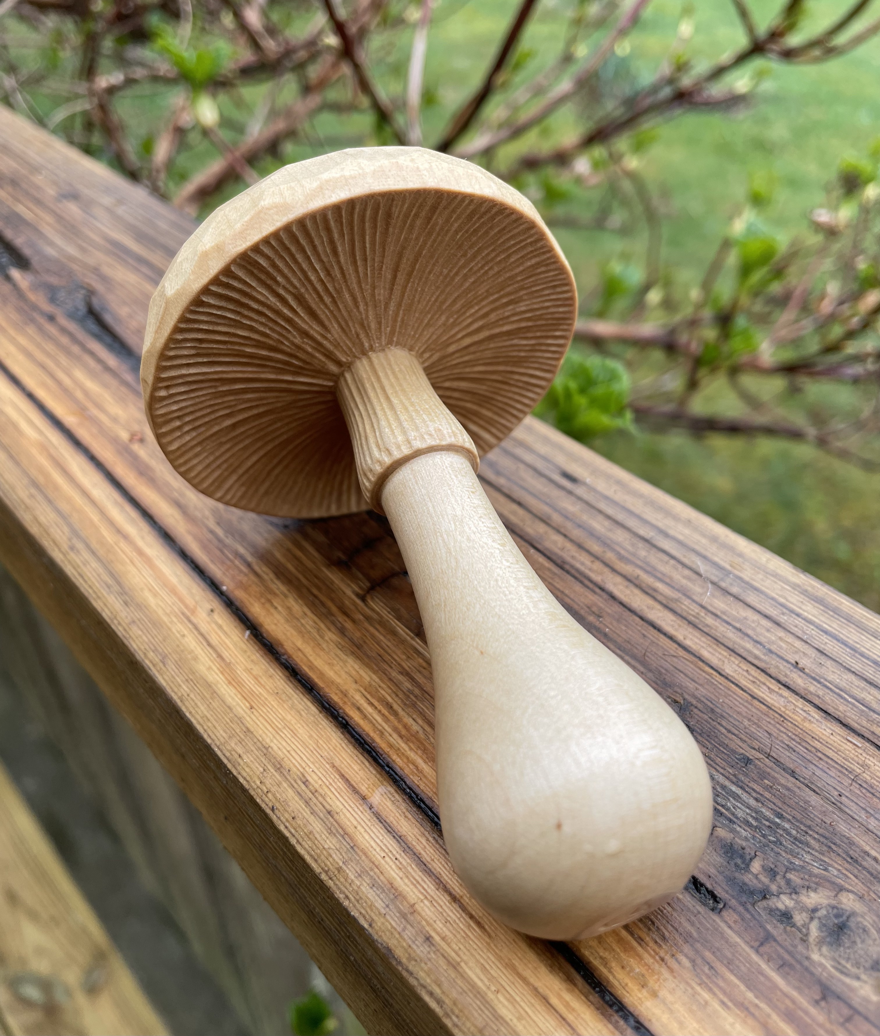 Darning mushroom - 3