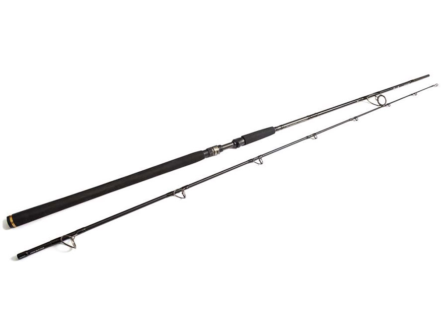 Westin W3 POWERCAST 2ND 20-80g - 2