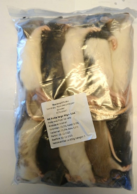 Fryst unge råtta 60-90g