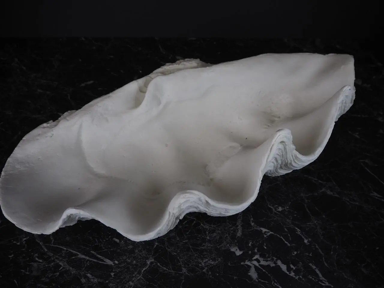 Clam Shell Galera - 3