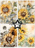 PP A6 Paper Favourites -Vintage Sunflower
