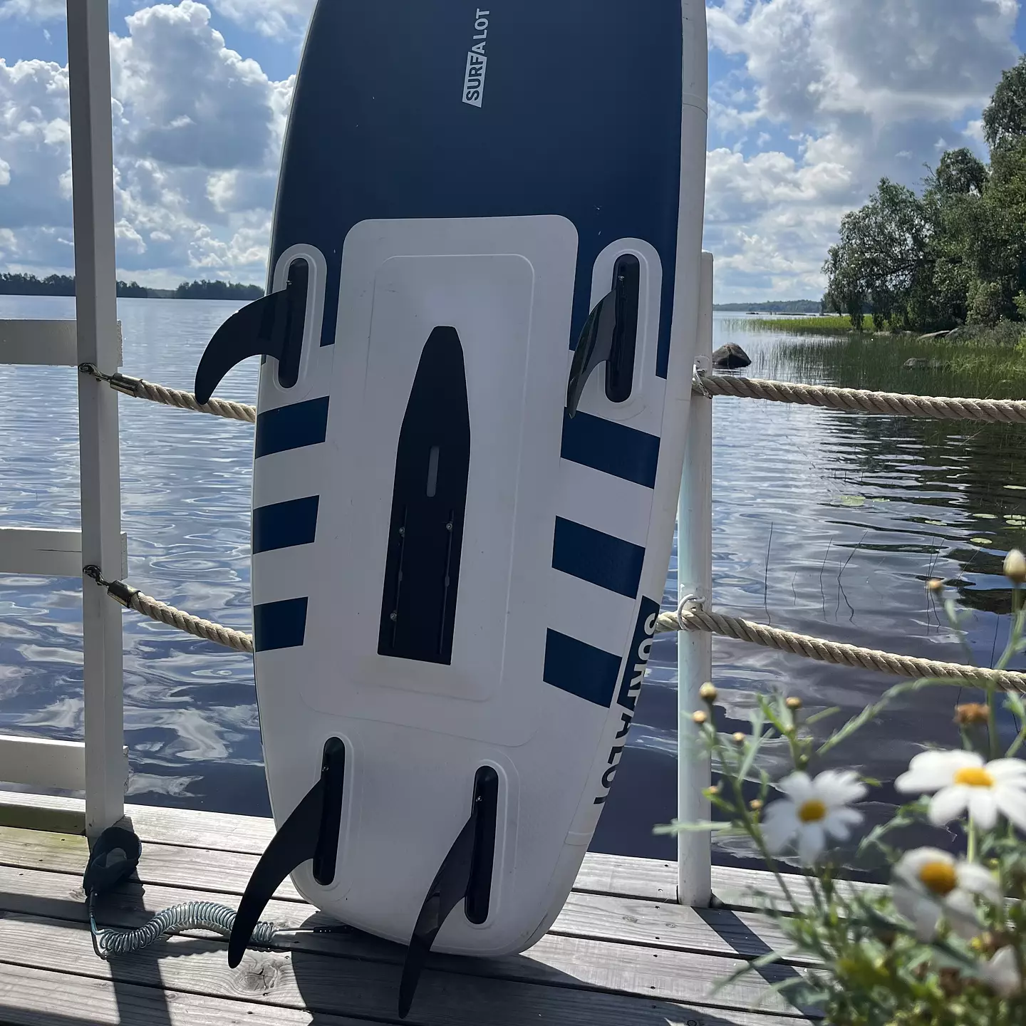 Surf a lot board with foil - 3