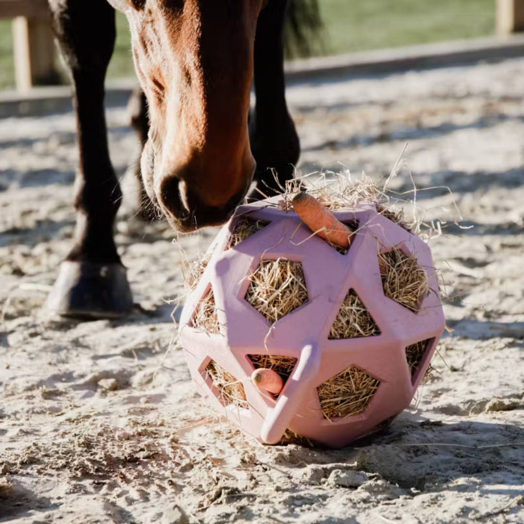 KENTUCKY RELAX HORSE PLAY & HAY BALL  - 14