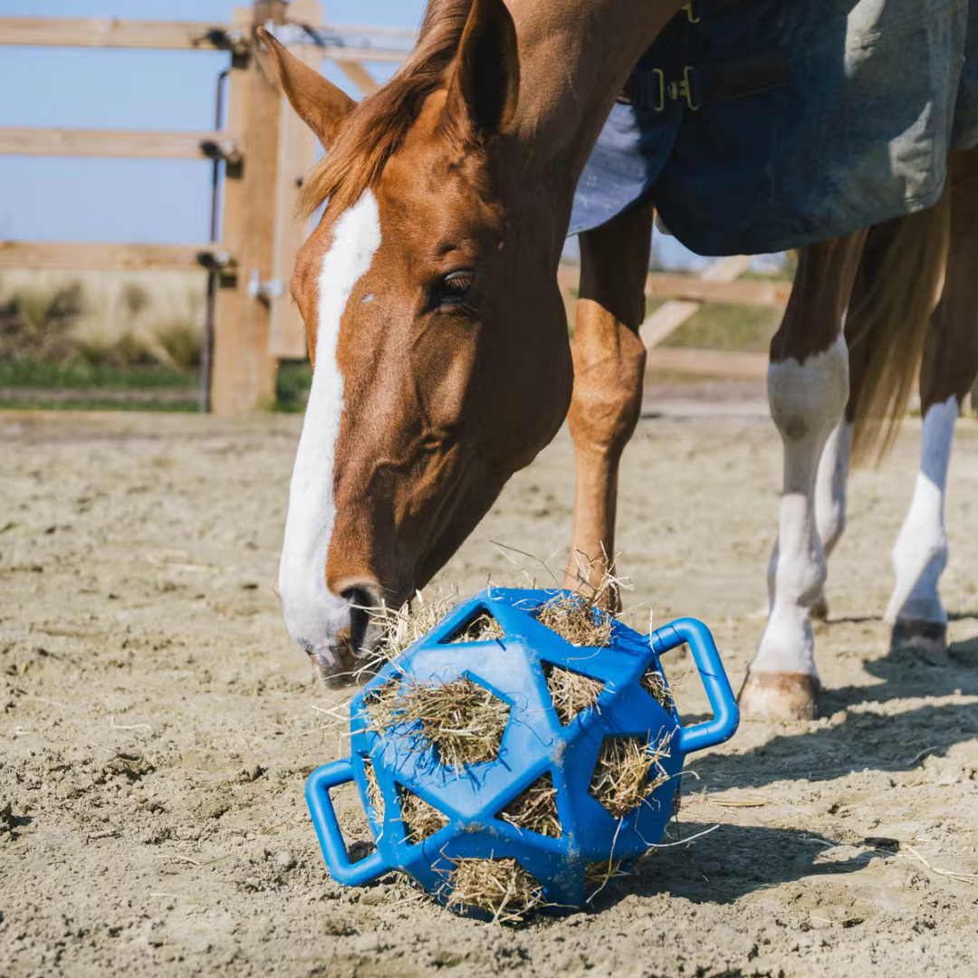 KENTUCKY RELAX HORSE PLAY & HAY BALL  - 10