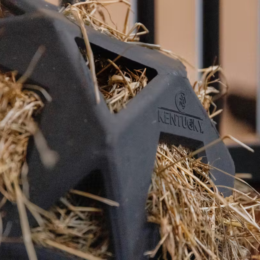 KENTUCKY RELAX HORSE PLAY & HAY BALL  - 4